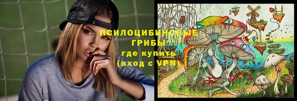эйфоретик Алзамай