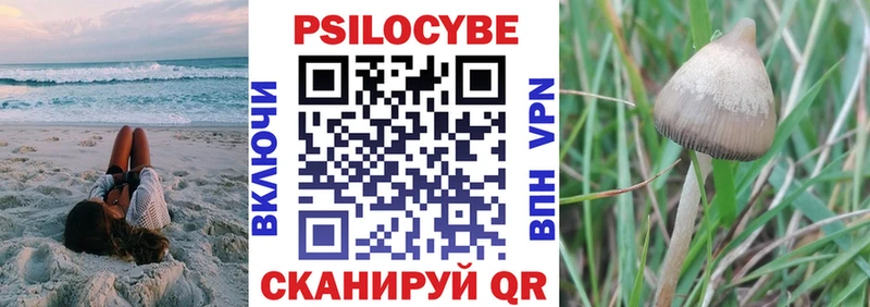Псилоцибиновые грибы мухоморы Тобольск